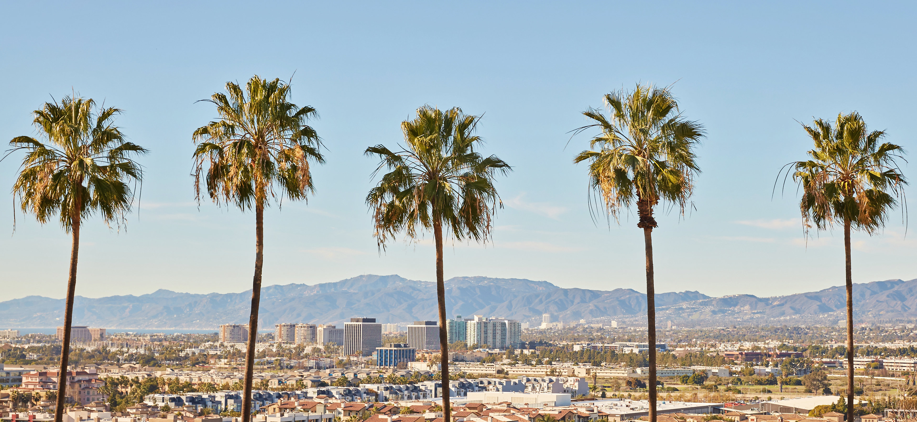 World Forum header image