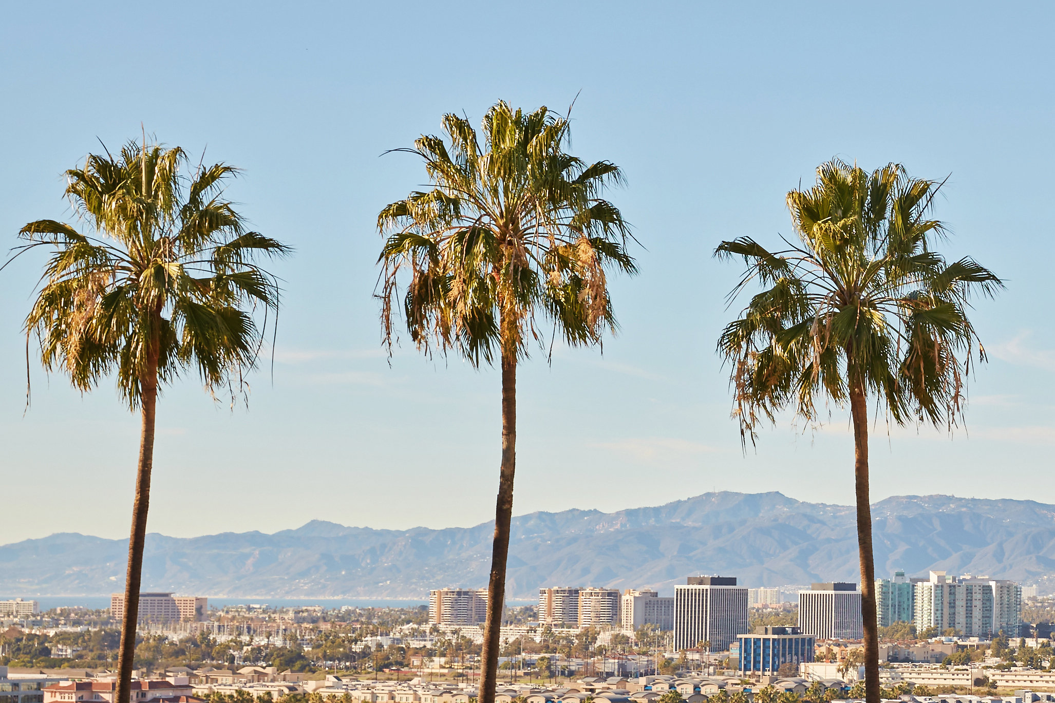 Los Angeles Landscape - IAJBS World Forum